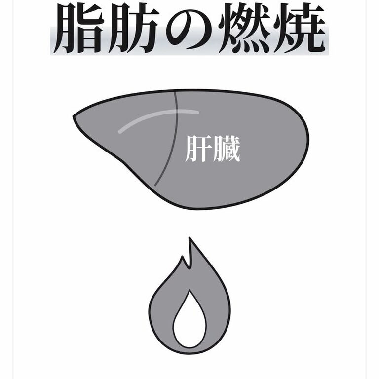画像2938