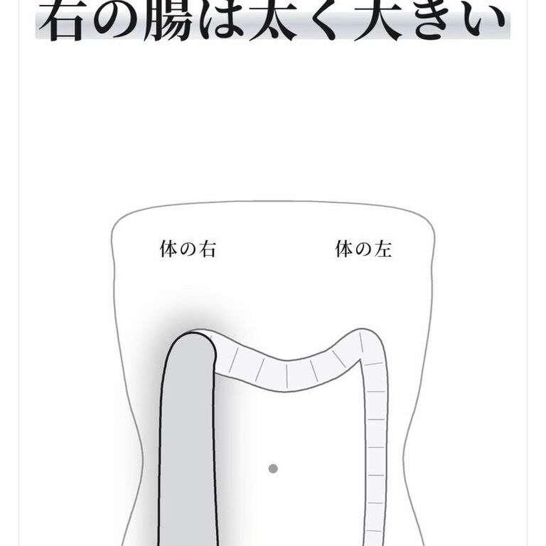 画像2942